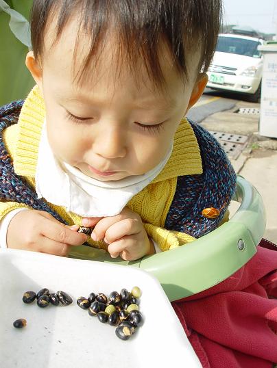 아휴 모르겠다. 딱딱하기는 해도 맛은 있는 것 같으니 먹기나 하자! 